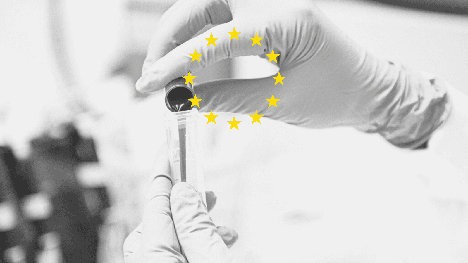 X-ZELL announces strategic expansion in Europe