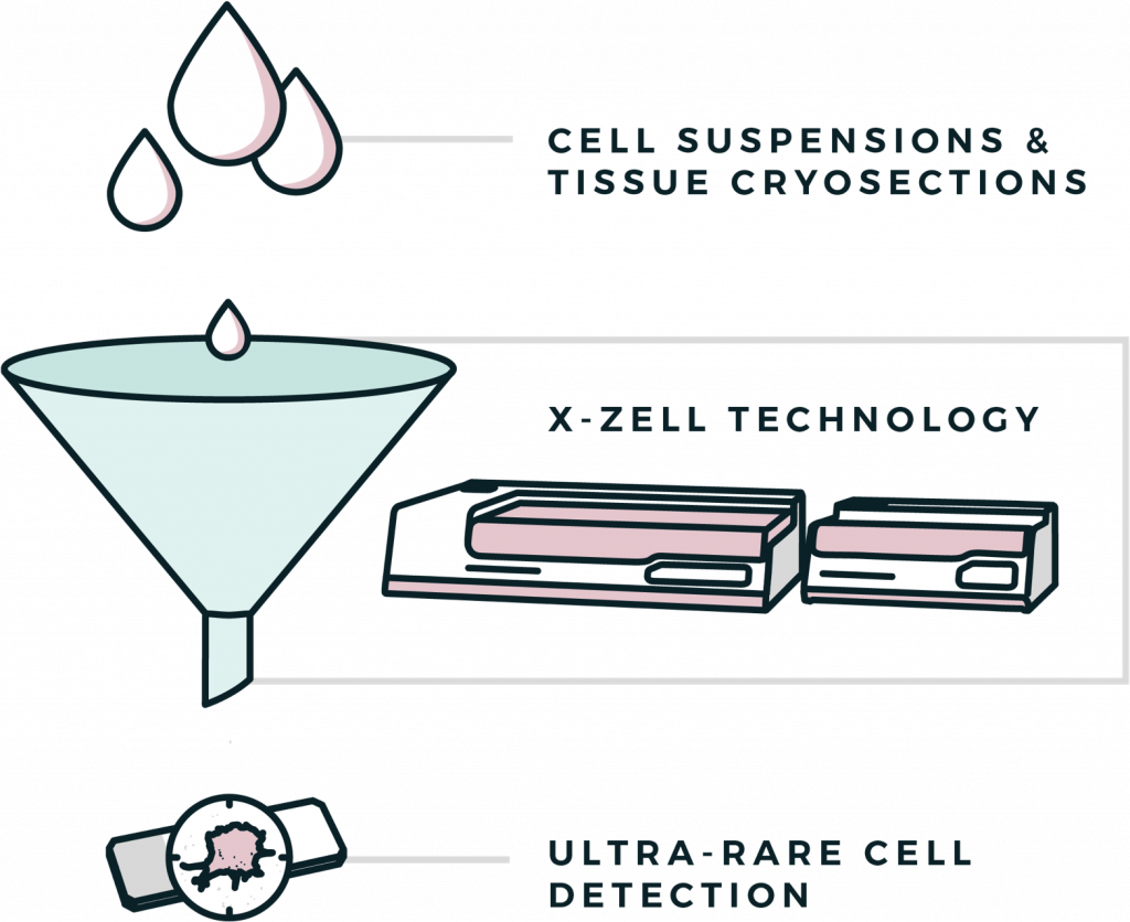 applied-research-infographic-x-zell